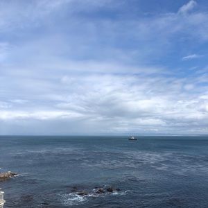 Meet your Posher, Jonette